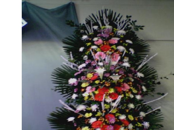 11608855_1.jpg