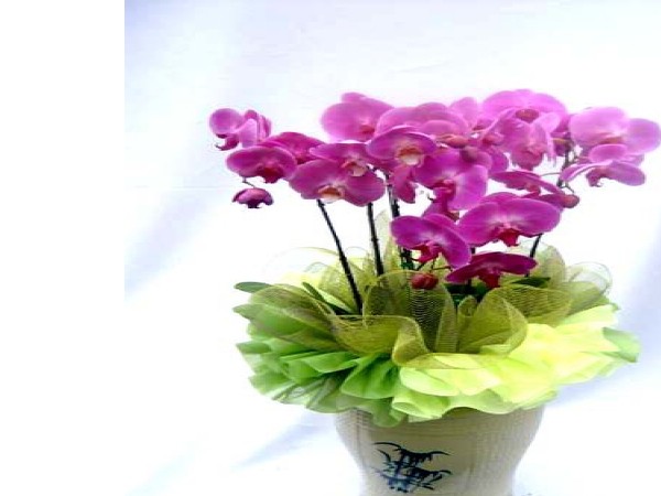 11609295_5.jpg