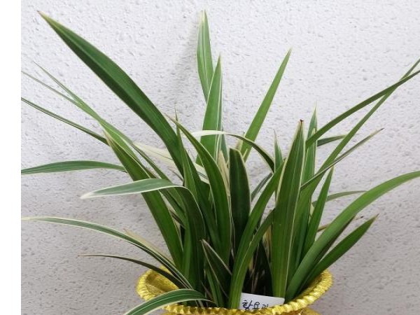 20170711_095021.jpg
