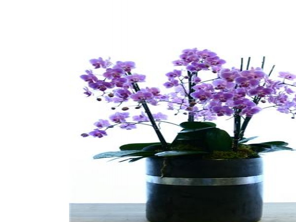 13269317_3.jpg