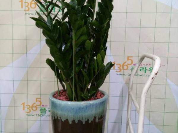 KakaoTalk_20161110_130308380.jpg