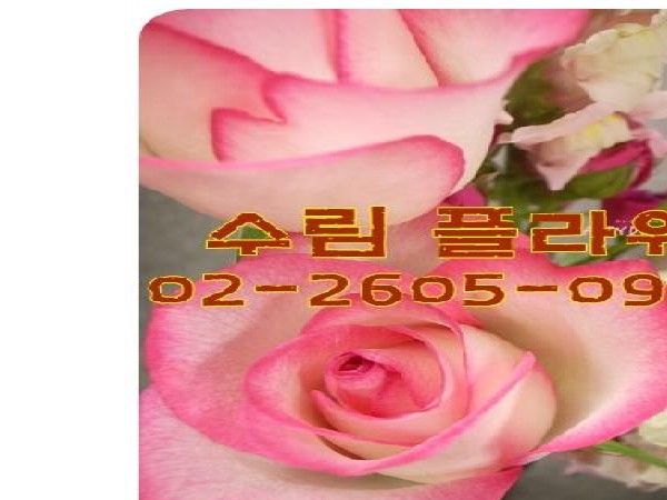 96380538454809_0.jpg