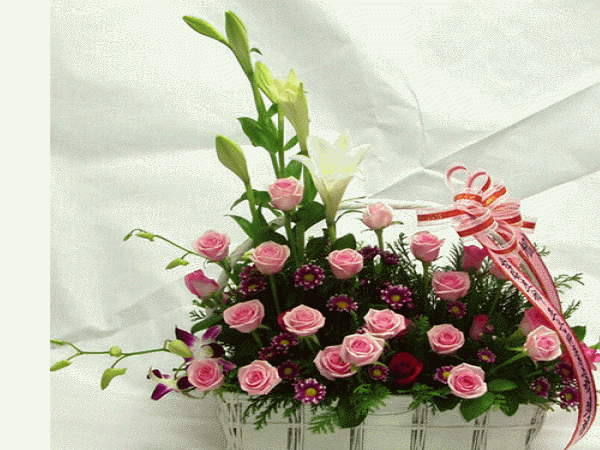 12018368_3.gif