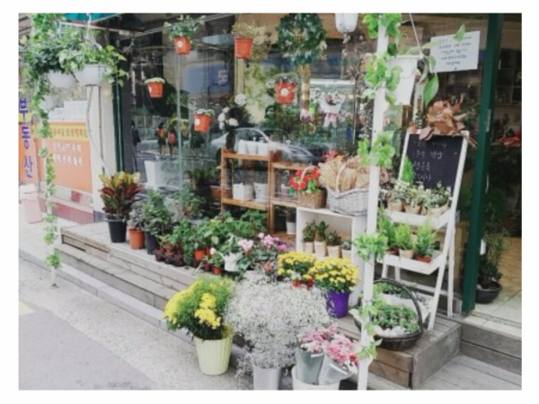 MyPhoto_1176826090_0041.png