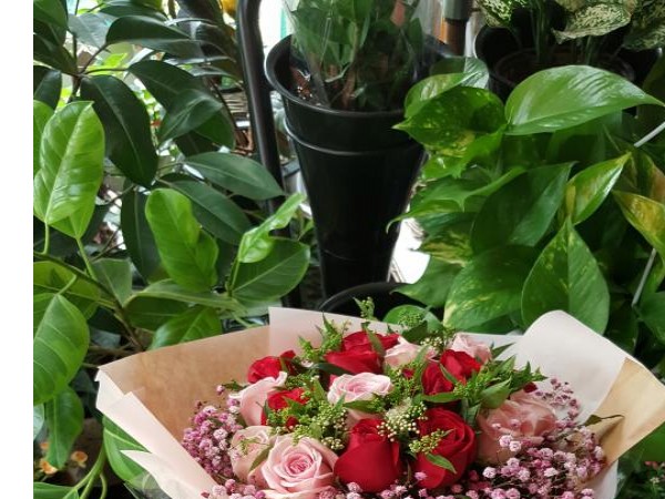 20160622_113135.jpg