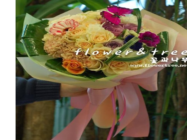 12011187_4.jpg