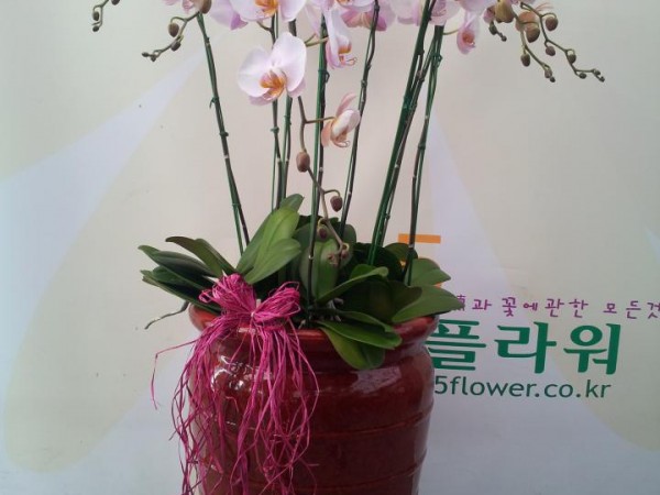 20130409_161244.jpg