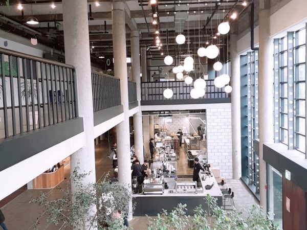 20190330_141922_274.jpg
