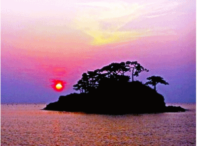 13282389_2.gif