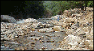 11494208_4.gif