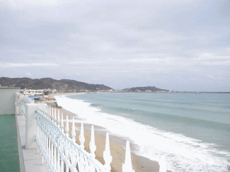 13029698_4.gif