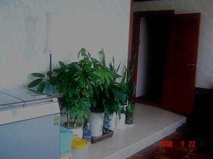 96674575647269_5.gif