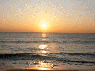 13029698_5.gif